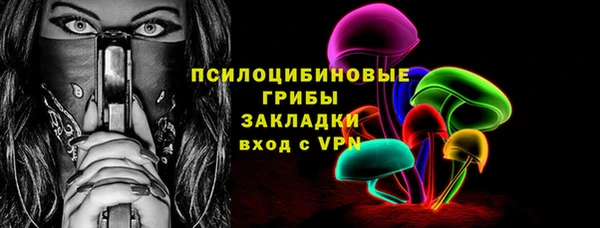 дмт Аркадак
