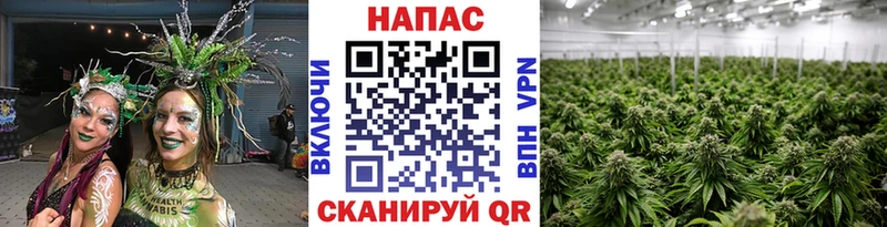 что такое   Иркутск  МАРИХУАНА конопля 